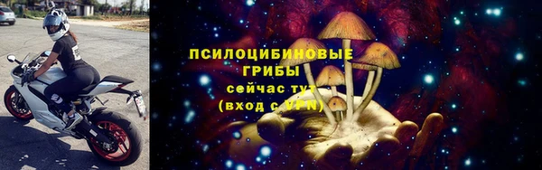 амф Алзамай