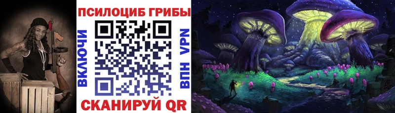 купить наркотики цена  ОМГ ОМГ ТОР  Псилоцибиновые грибы Psilocybine cubensis  Богучар 
